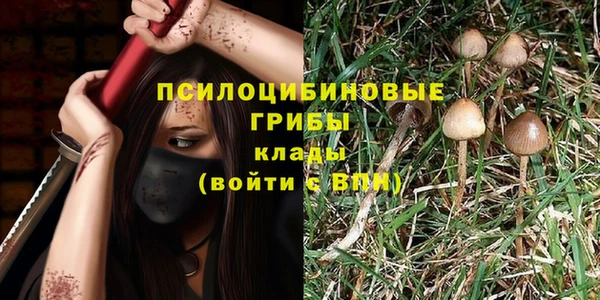 трава Абинск