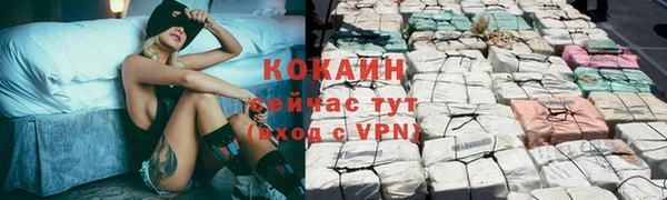 индика Россошь