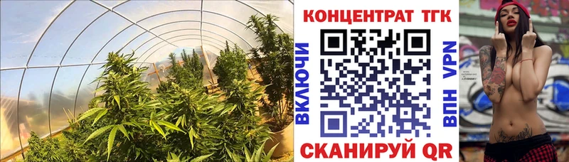 Дистиллят ТГК гашишное масло Галич
